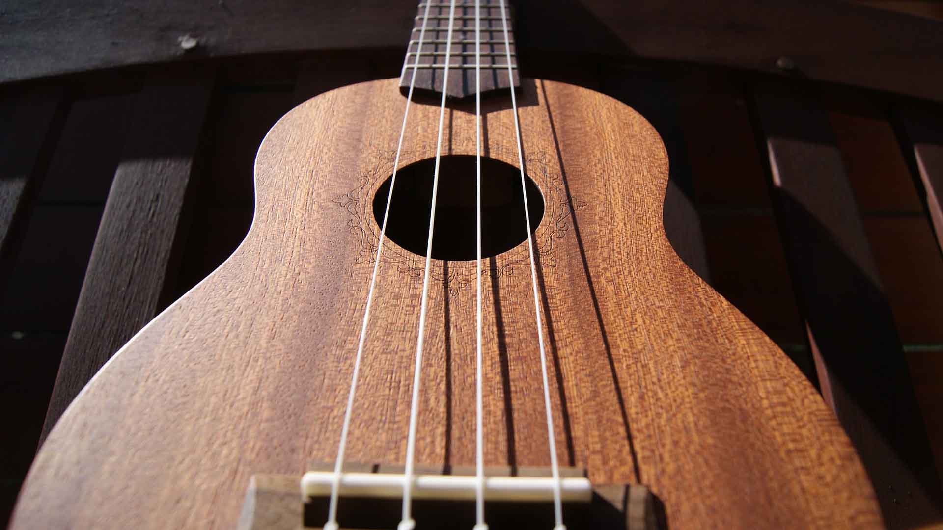 Best Ukuleles For Beginners 2022 Reviews & Buying Guide